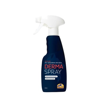 derma spray250ml.JPG