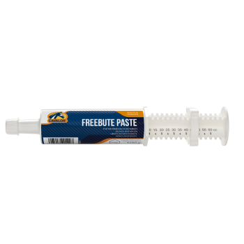 freebute paste.png