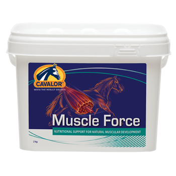 muscleforce.png