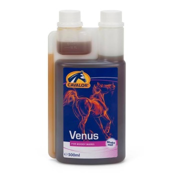 venus.jpg