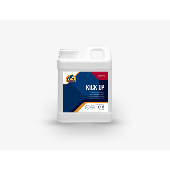 KickUp-Packshot-1.png