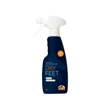 dryfeet.png