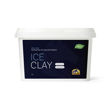 iceclay4kg.jpg